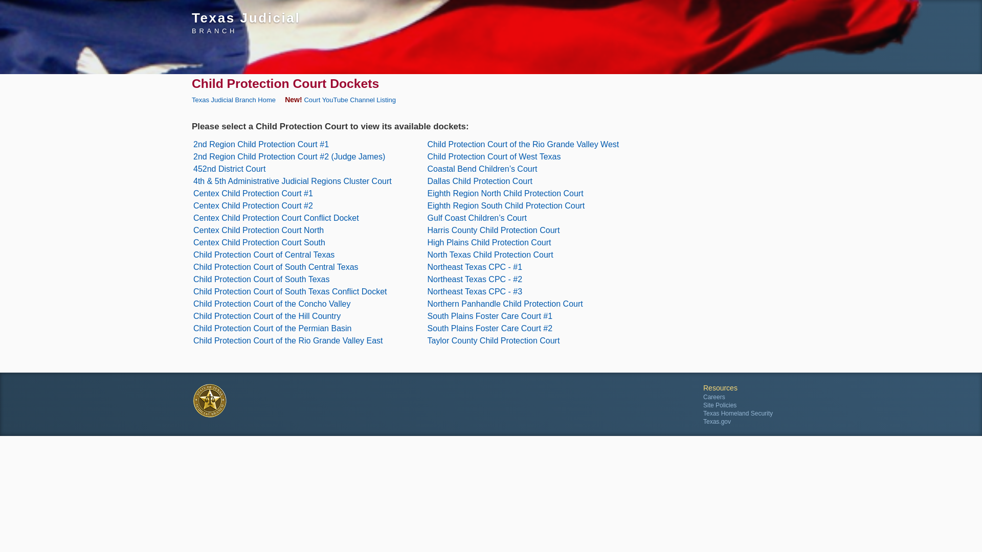 Texas Courts Online | Child Protection Court Dockets