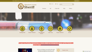 Sheriff | Effingham County, GA